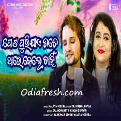 Peta Puri Jae Tate Thare Dele Chahni